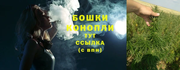 spice Арсеньев