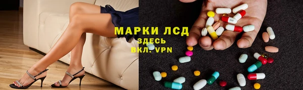 твердый Аркадак