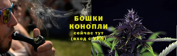 spice Арсеньев