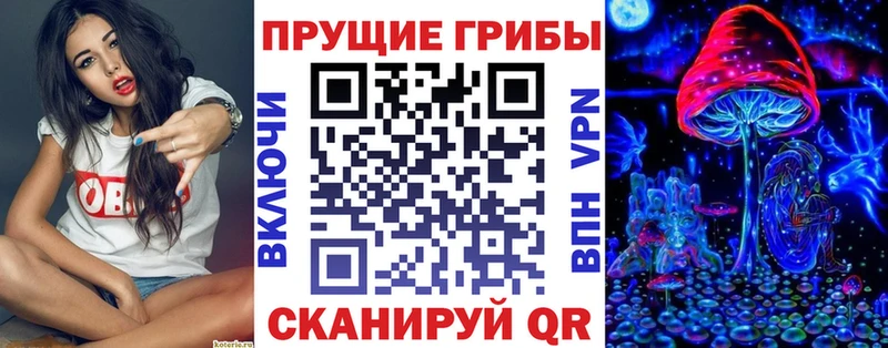 Галлюциногенные грибы Psilocybe  где найти наркотики  Барыш 